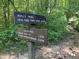 Rock Creek Park juniper Trailhead