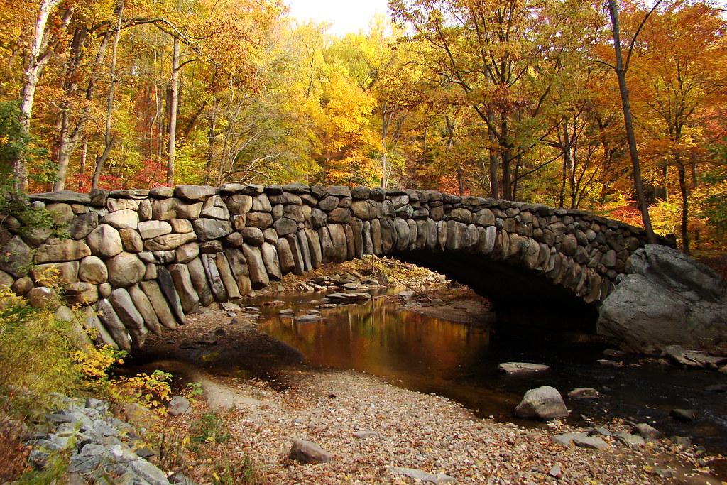 Bridge on Rock Creek Park Trail