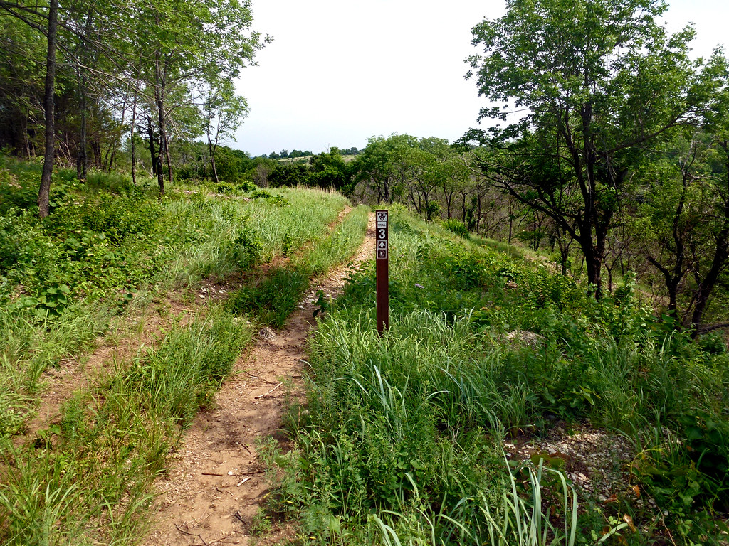 Rock Creek Trail 3