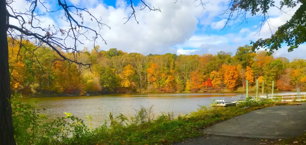 Lake Needwood fall foliage